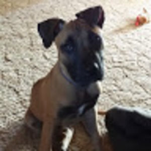 Meet your Posher, Maresa